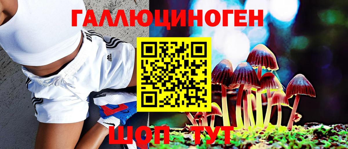 Новозыбков  наркошоп  Вход с VPN  Галлюциногенные грибы ЛСД  Псилоцибиновые грибы мухоморы 