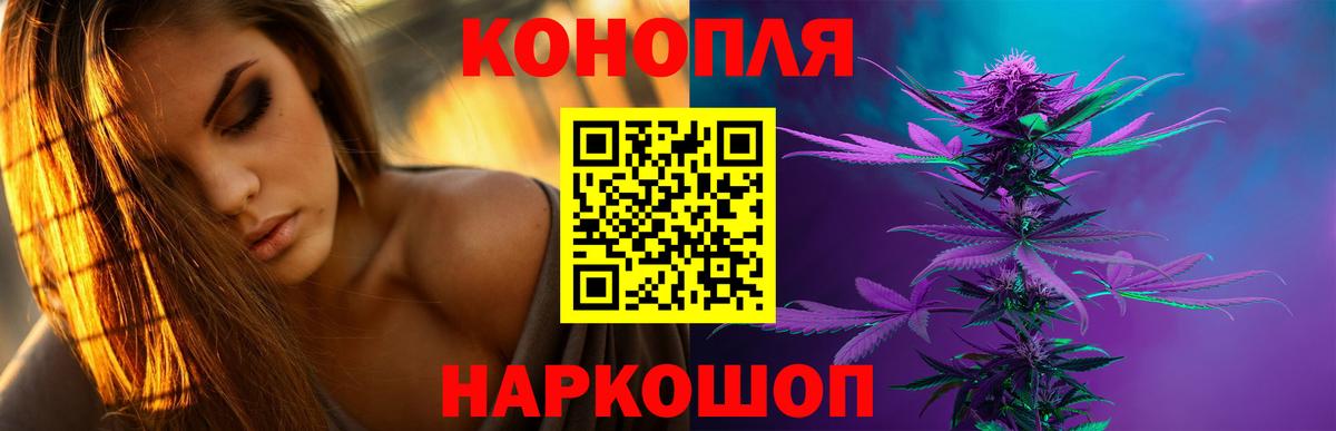 Каннабис сатива Новозыбков